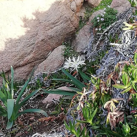 Prázdninový dům Terrazza In Paradiso