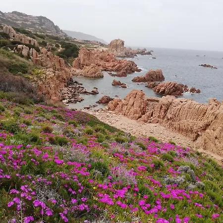 펜션 Terrazza In Paradiso